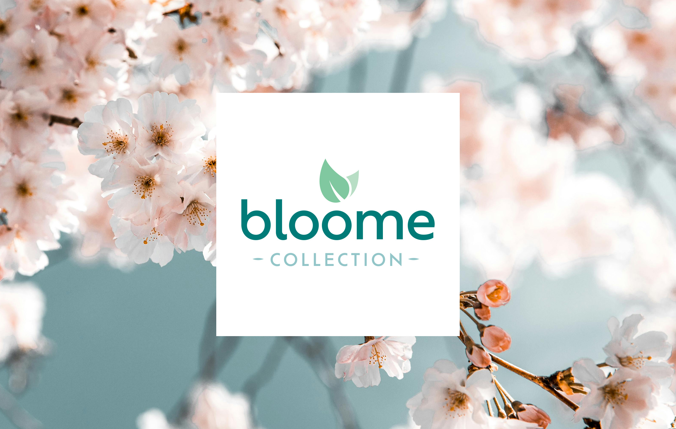 Bloome Air Care