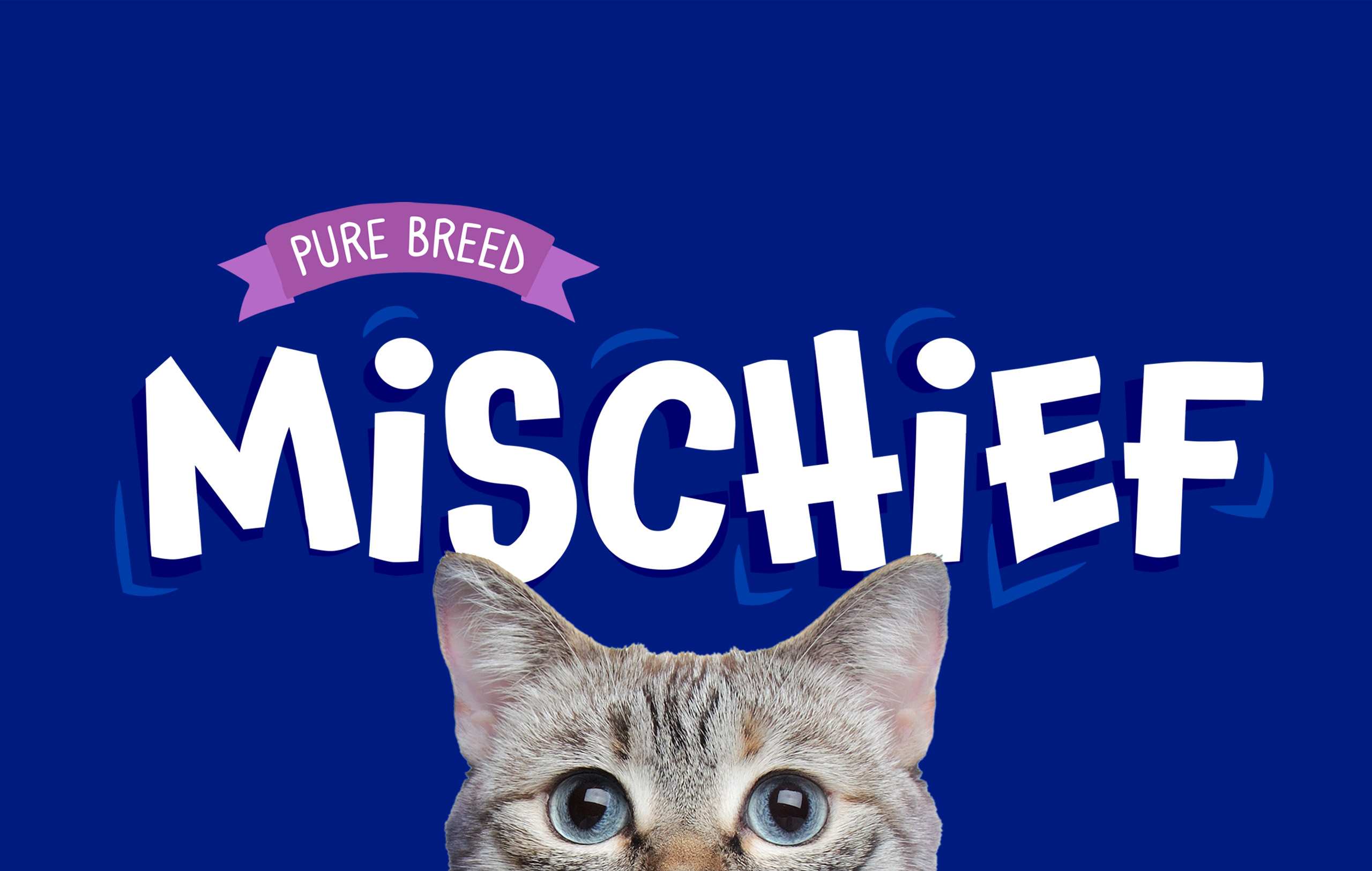 Mischief Cat Treats